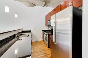 1110 W 15th St, Chicago, IL 60608 - Photo 10