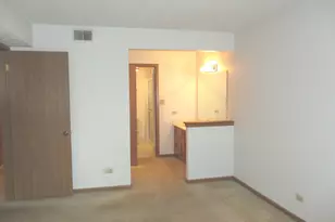 10532 Ridge Cover Dr, Chicago Ridge, IL 60415 - Photo 8