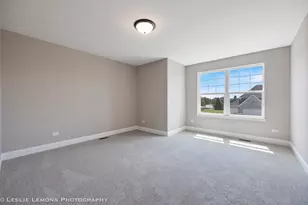 902 Hayden Dr, Yorkville, IL 60560 - Photo 22