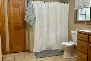 1739 Kingtree Dr, Morris, IL 60450 - Photo 16