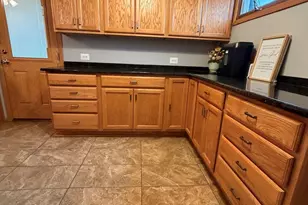 8118 S Kolmar Ave, Chicago, IL 60652 - Photo 10