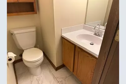 1217 Regent Drive, Mundelein, IL 60060 - Photo 16