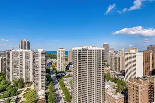 1355 N Sandburg Terrace, Chicago, IL 60610 - Photo 26