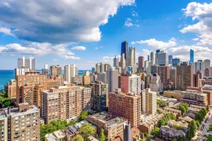 1355 N Sandburg Terrace, Chicago, IL 60610 - Photo 24