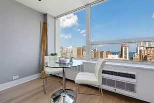 1355 N Sandburg Terrace, Chicago, IL 60610 - Photo 8