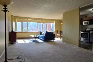 801 S Plymouth Ct, Chicago, IL 60605 - Photo 2