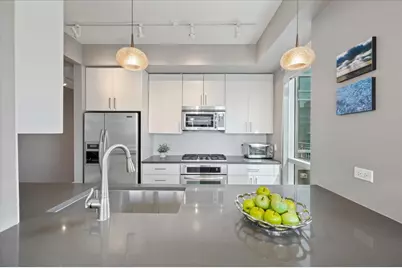 505 N McClurg Court #4606, Chicago, IL 60611 - Photo 12