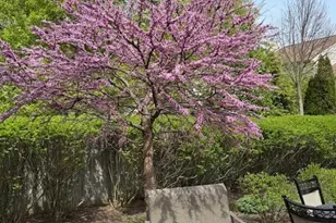 202 Mill St, Batavia, IL 60510 - Photo 44