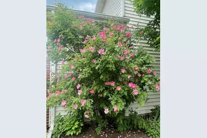 202 Mill Street, Batavia, IL 60510 - Photo 46