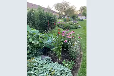 10842 Timer Drive, Huntley, IL 60142 - Photo 30