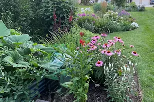 10842 Timer Dr, Huntley, IL 60142 - Photo 30