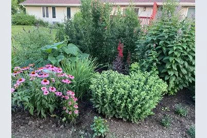 10842 Timer Drive, Huntley, IL 60142 - Photo 26