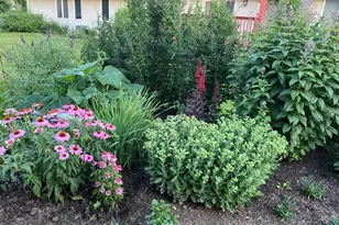 10842 Timer Dr, Huntley, IL 60142 - Photo 26