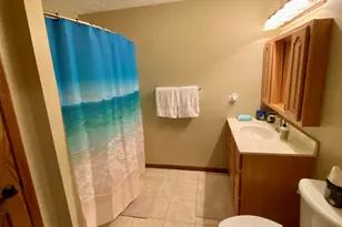 1221 S Fox Run Dr, Seneca, IL 61360 - Photo 36