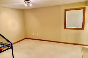 1221 S Fox Run Dr, Seneca, IL 61360 - Photo 42