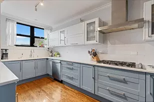 433 W Briar Pl, Chicago, IL 60657 - Photo 12