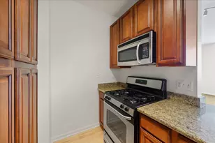 1255 S State St, Chicago, IL 60605 - Photo 10