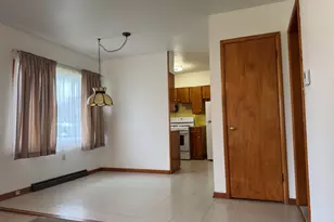 101 W High St, Lamoille, IL 61330 - Photo 6