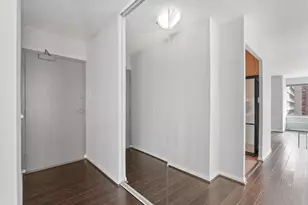 247 E Chestnut St, Chicago, IL 60611 - Photo 6