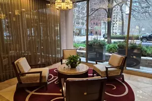 247 E Chestnut St, Chicago, IL 60611 - Photo 2