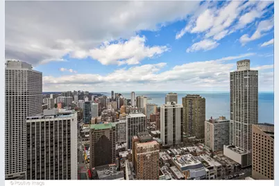 11 E Walton Street #4102, Chicago, IL 60611 - Photo 28