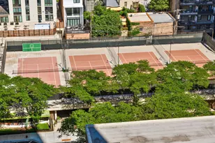 1360 N Sandburg Terrace, Chicago, IL 60610 - Photo 32