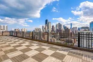 1360 N Sandburg Terrace, Chicago, IL 60610 - Photo 26