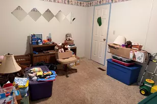 2041 Mills Cart Rd, Salem, IL 62881 - Photo 16