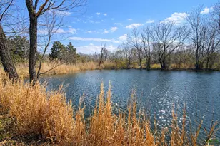 2041 Mills Cart Rd, Salem, IL 62881 - Photo 4