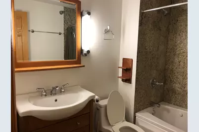 195 N Harbor Drive #207, Chicago, IL 60601 - Photo 10