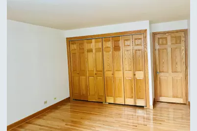 195 N Harbor Drive #207, Chicago, IL 60601 - Photo 6