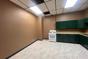 433 Ogden Ave, Downers Grove, IL 60515 - Photo 4