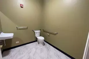 433 Ogden Ave, Downers Grove, IL 60515 - Photo 8