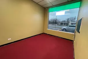 433 Ogden Ave, Downers Grove, IL 60515 - Photo 10