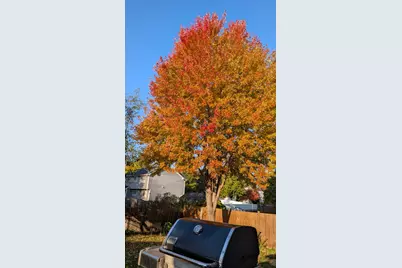 2103 Windcrest Lane, Joliet, IL 60431 - Photo 34