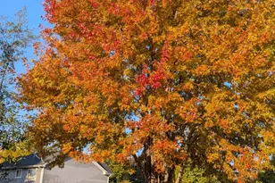 2103 Windcrest Ln, Joliet, IL 60431 - Photo 34