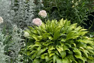 2103 Windcrest Ln, Joliet, IL 60431 - Photo 32