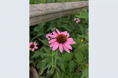 2103 Windcrest Lane, Joliet, IL 60431 - Photo 30