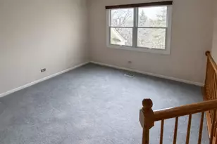 10709 Hollow Tree Rd, Orland Park, IL 60462 - Photo 14