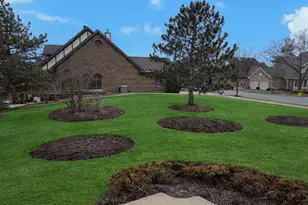 10709 Hollow Tree Rd, Orland Park, IL 60462 - Photo 22