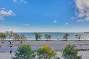 1440 N Lake Shore Dr, Chicago, IL 60610 - Photo 4