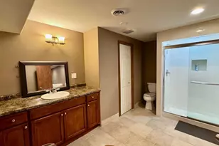 21249 Sophia Dr, Matteson, IL 60443 - Photo 50