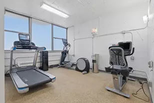 1000 N Lake Shore Dr, Chicago, IL 60611 - Photo 22