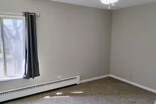 910 W Alleghany Dr, Arlington Heights, IL 60004 - Photo 12