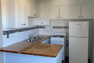 1025 W Hollywood Ave, Chicago, IL 60660 - Photo 4