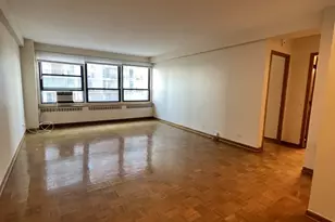 4180 N Marine Dr, Chicago, IL 60613 - Photo 2