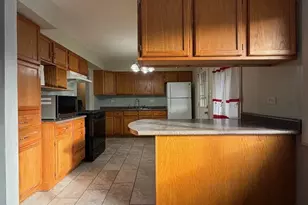 450 E Mulberry Ct, Glenwood, IL 60425 - Photo 6