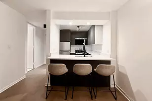 233 E Erie St, Chicago, IL 60611 - Photo 4