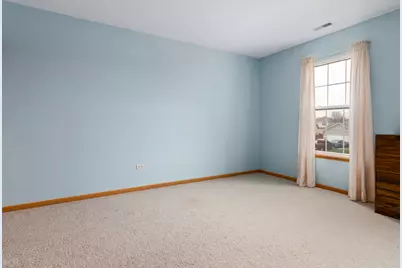 4709 W Iris Lane, Monee, IL 60449 - Photo 20