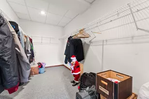 21324 W Douglas Ln, Plainfield, IL 60544 - Photo 32